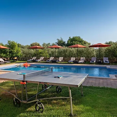 Guesthouse 