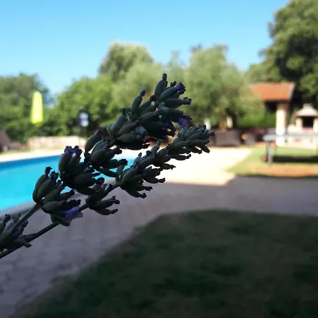 Guest house Guesthouse 