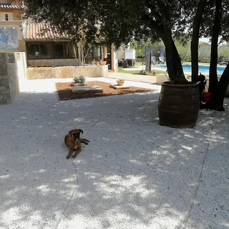 Guesthouse 